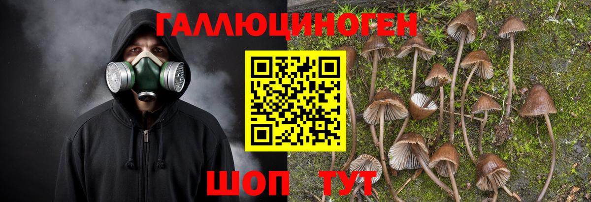 Саянск  что такое наркотик  Вход с VPN  Галлюциногенные грибы Magic Shrooms  Псилоцибиновые грибы мицелий 